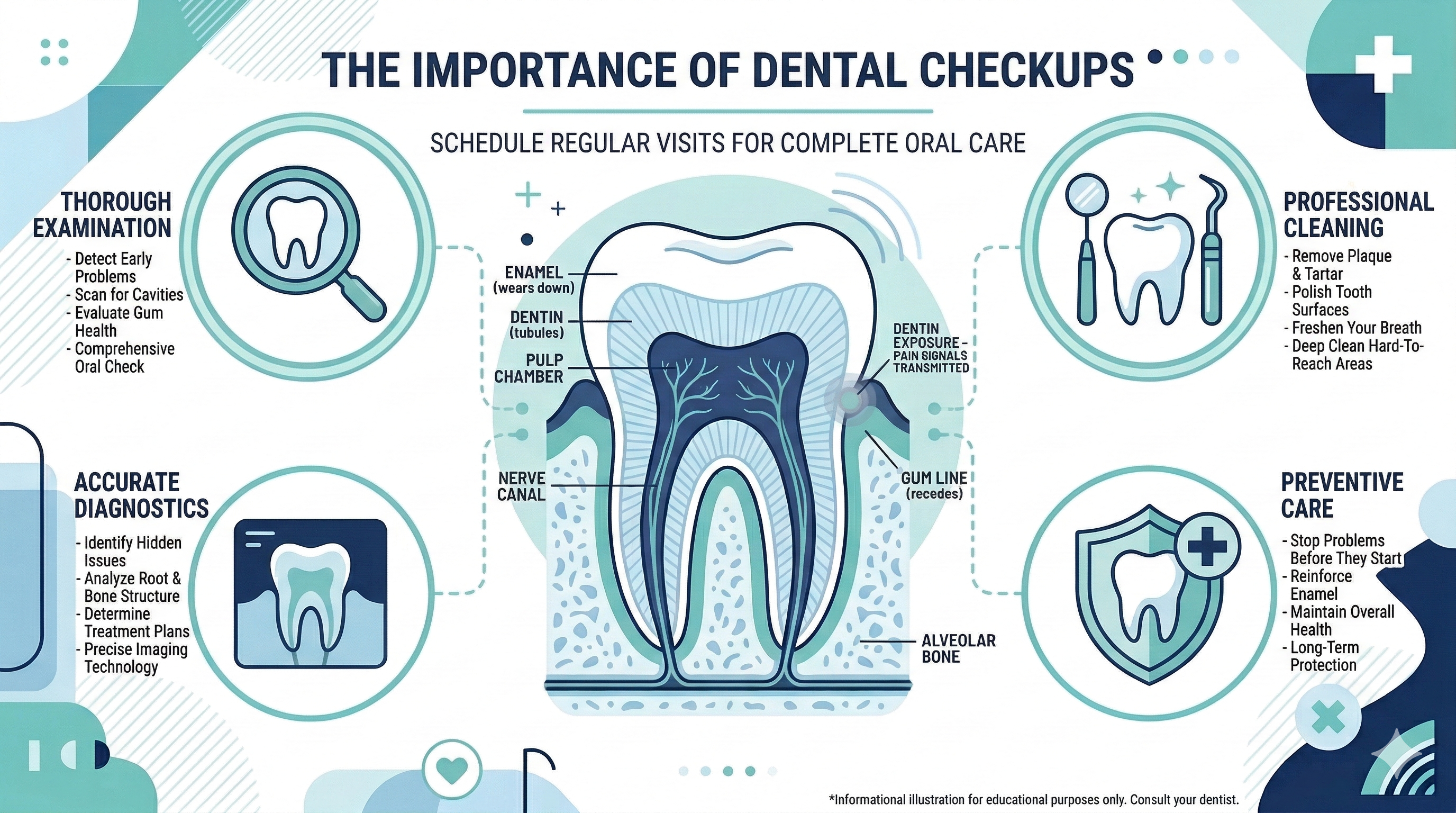 Routine Dental Checkups Infographic